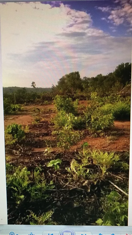 Fazenda, 1859 m² - Foto 4