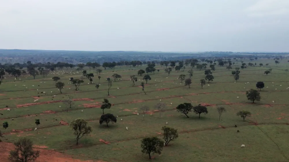 Fazenda, 359 m² - Foto 1