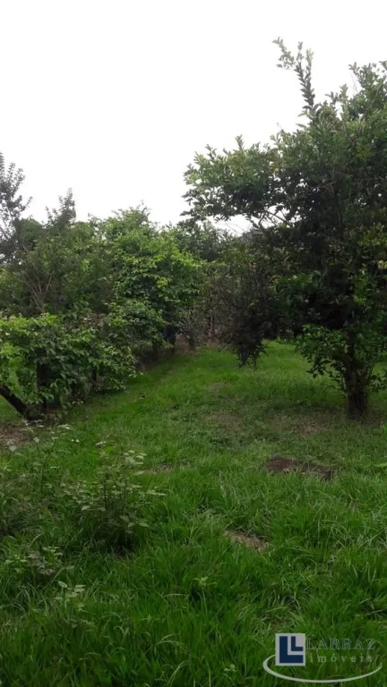 Chácara, 3 quartos, 2 hectares - Foto 4