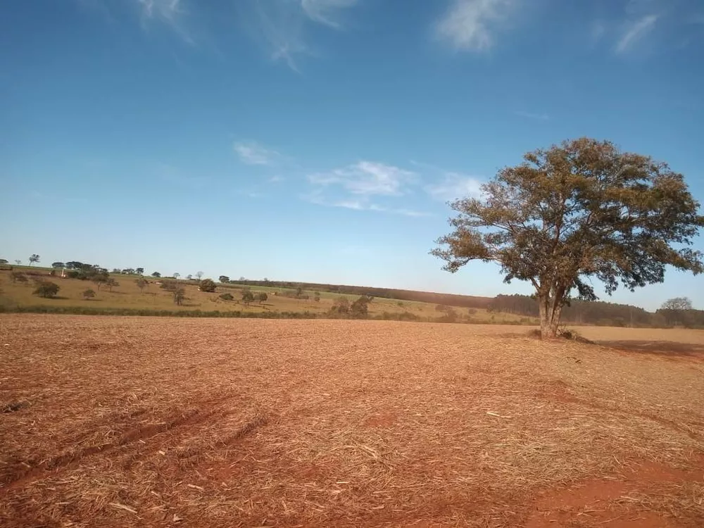 Fazenda, 102 m² - Foto 4