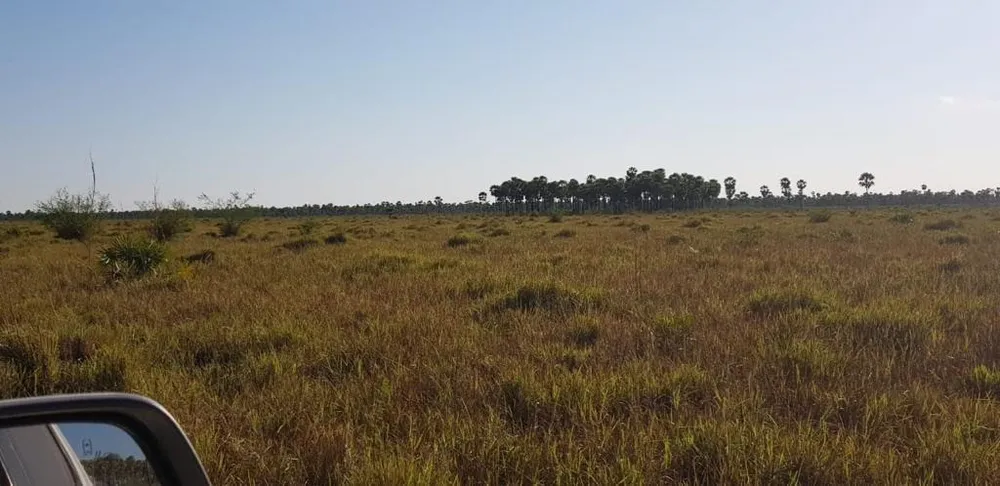 Fazenda, 653 m² - Foto 8