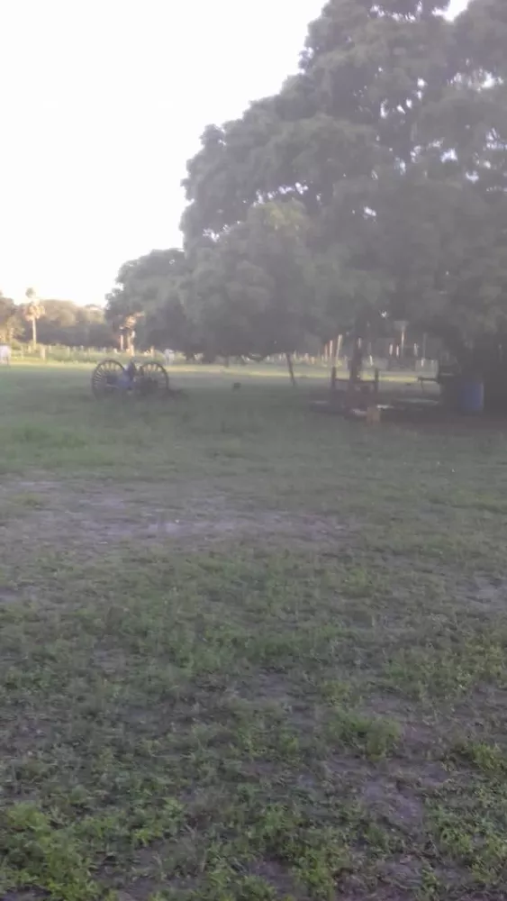 Fazenda, 653 m² - Foto 4