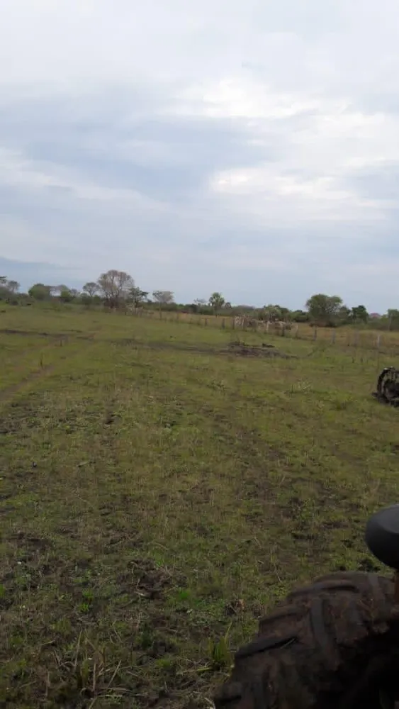 Fazenda, 653 m² - Foto 3