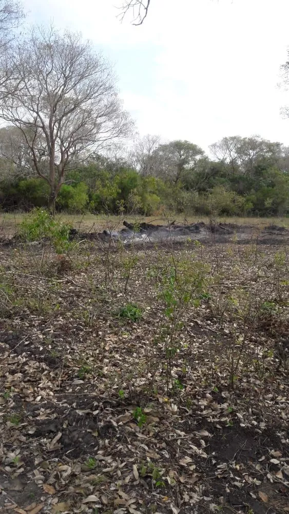 Fazenda, 653 m² - Foto 1