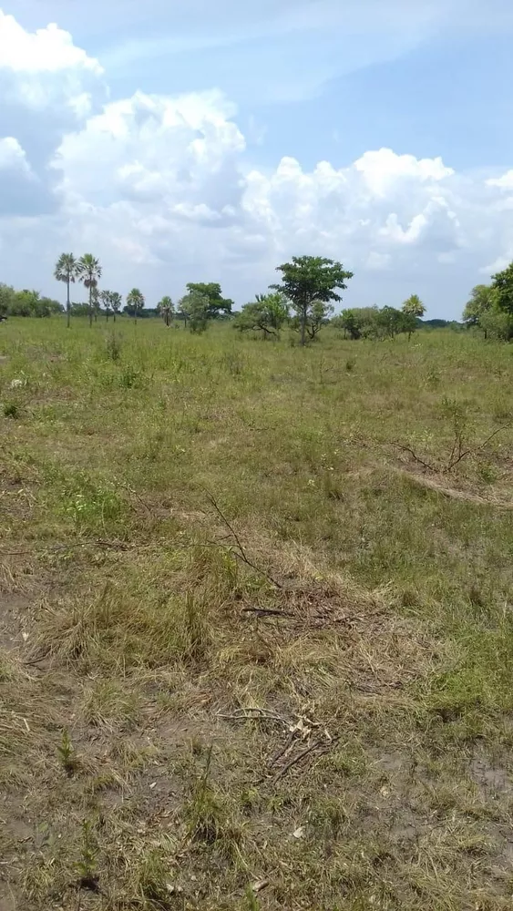 Fazenda, 653 m² - Foto 2