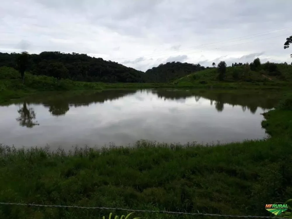 Fazenda, 265 m² - Foto 3