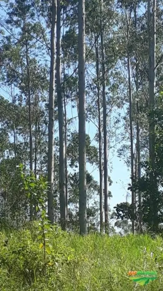 Fazenda, 265 m² - Foto 2