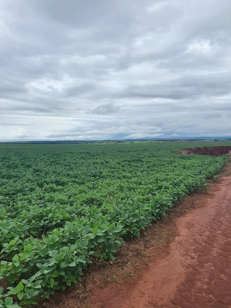 Fazenda, 330 m² - Foto 4