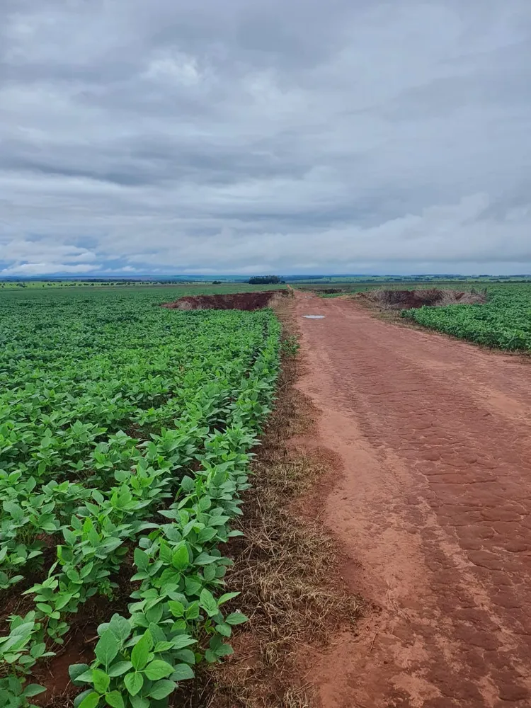 Fazenda, 330 m² - Foto 3