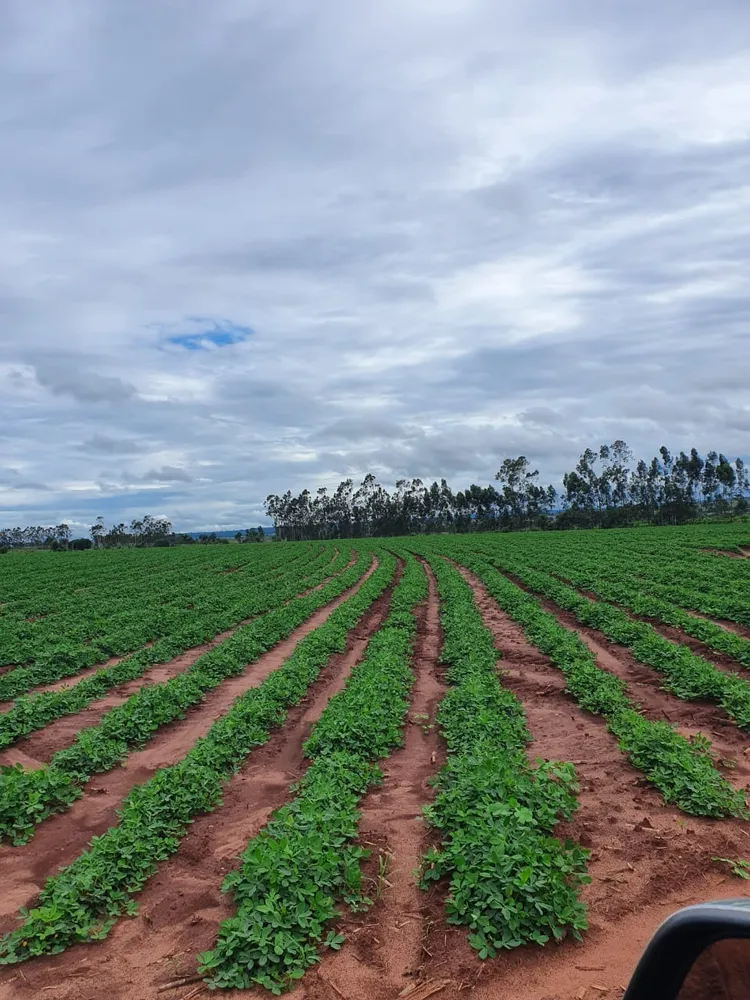 Fazenda, 330 m² - Foto 11