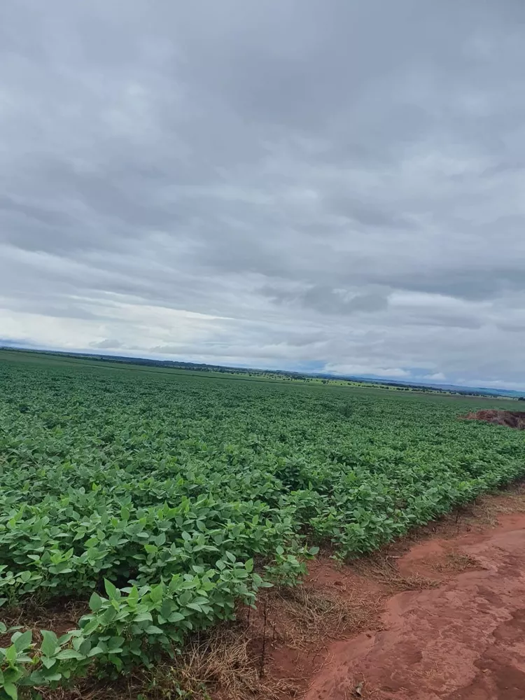 Fazenda, 330 m² - Foto 1