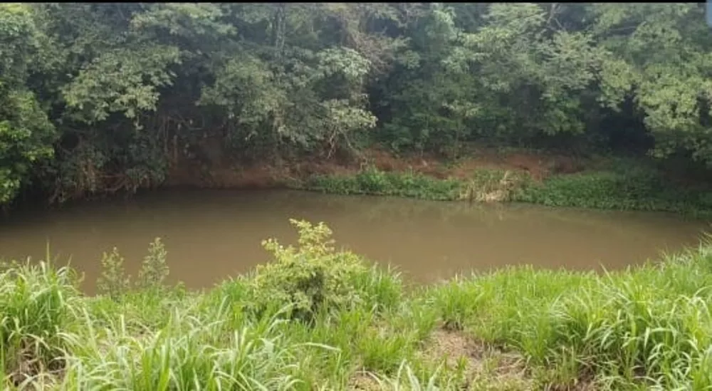 Sítio, 2 m² - Foto 3