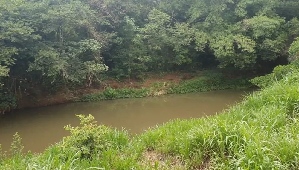 Sítio, 2 m² - Foto 4