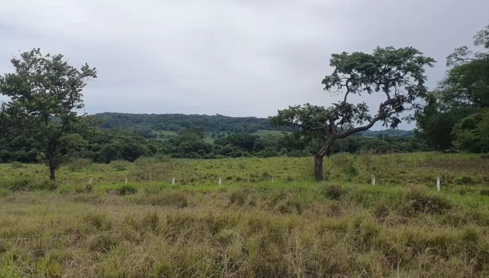 Sítio, 2 m² - Foto 1