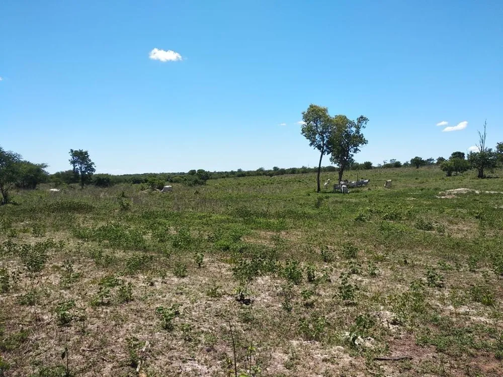 Fazenda, 214 m² - Foto 7