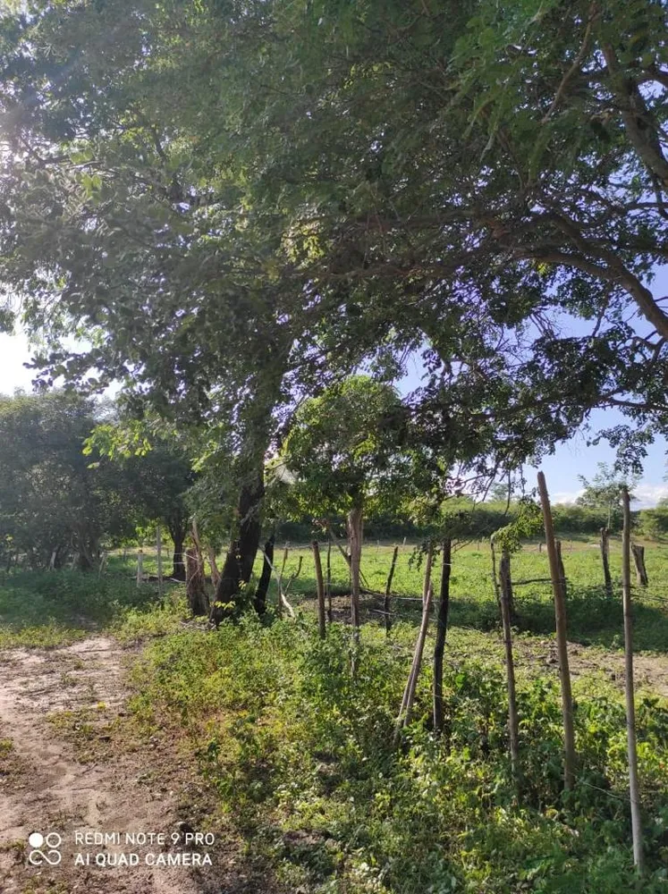 Fazenda, 214 m² - Foto 14