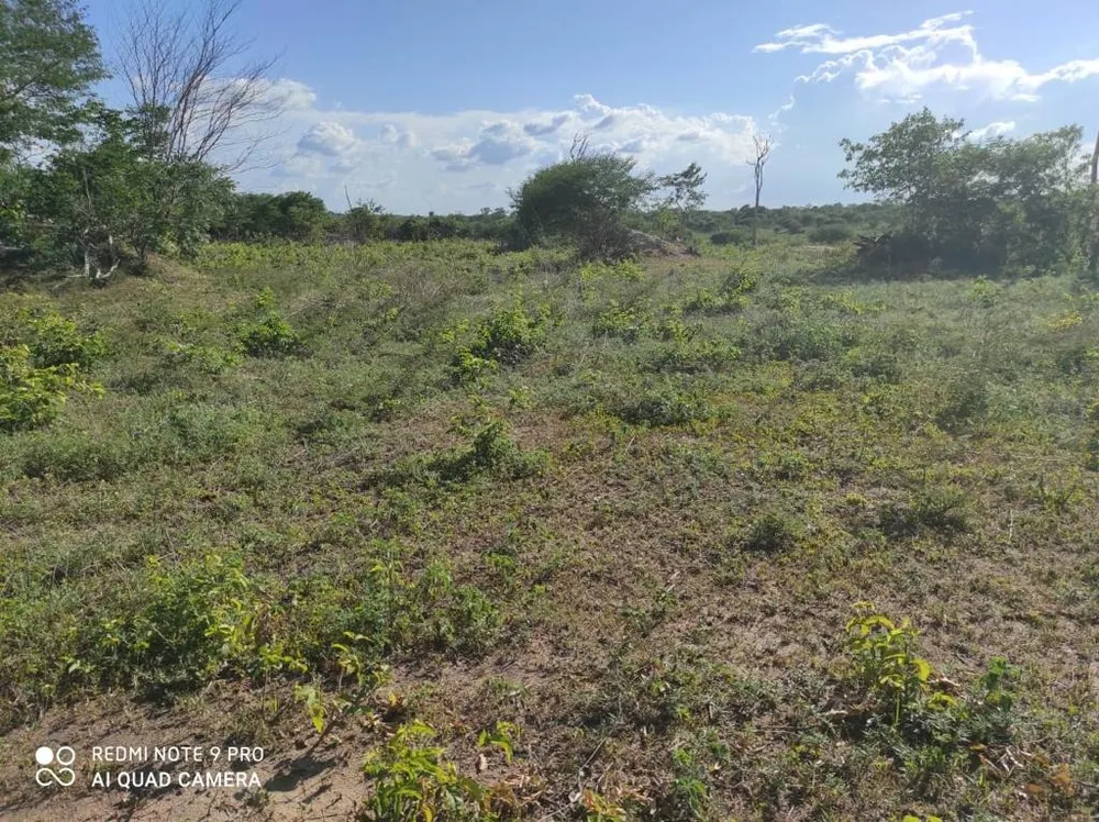 Fazenda, 214 m² - Foto 6
