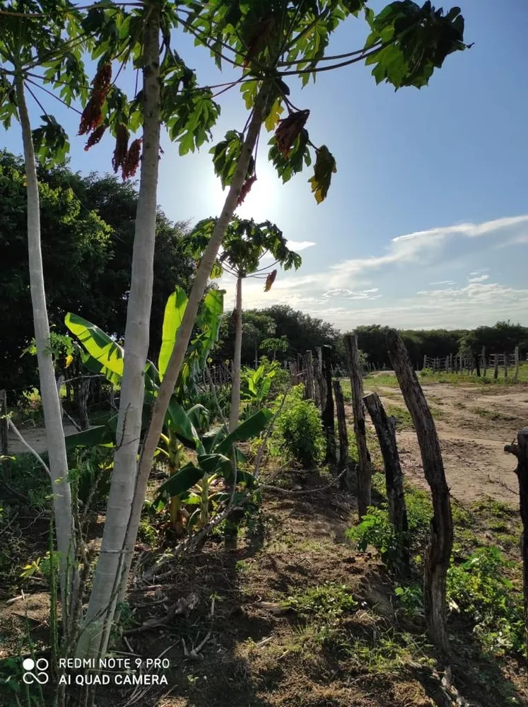 Fazenda, 214 m² - Foto 1