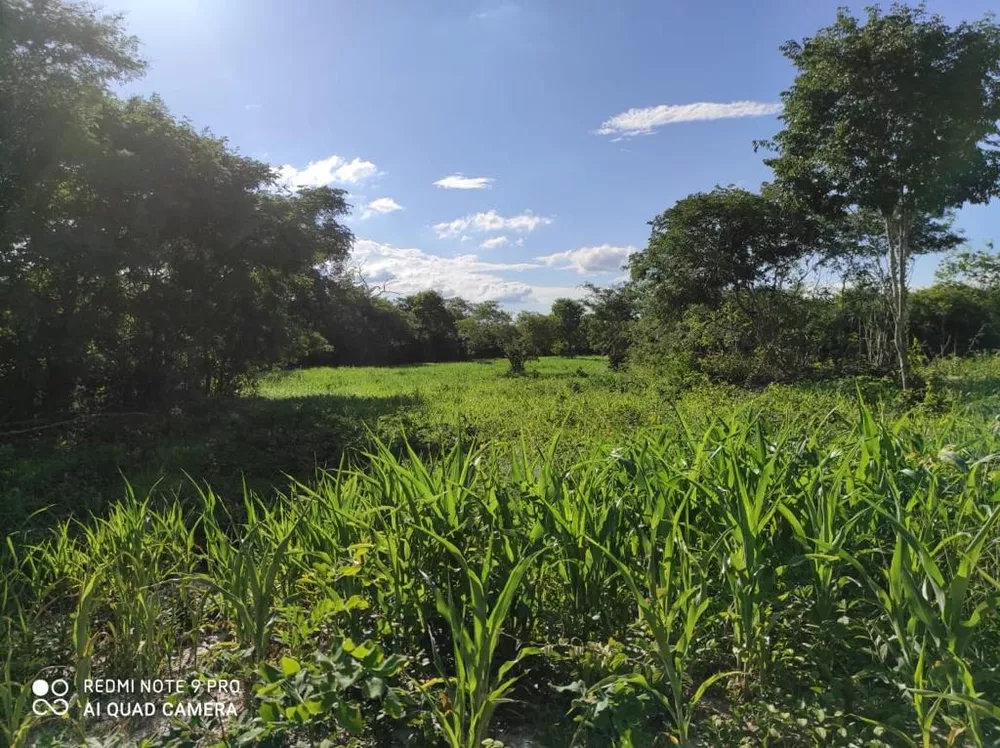 Fazenda, 214 m² - Foto 4