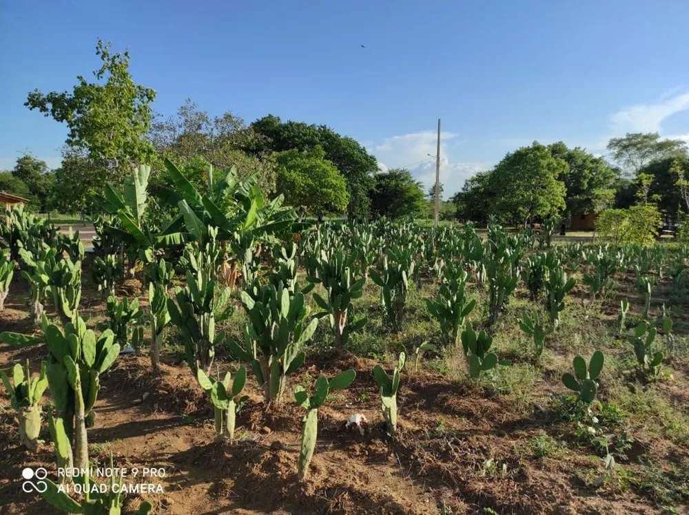 Fazenda, 214 m² - Foto 5