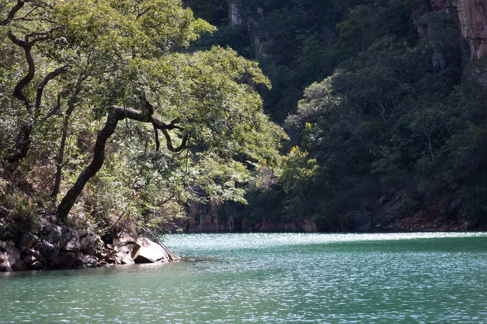 Terreno, 250 m² - Foto 4