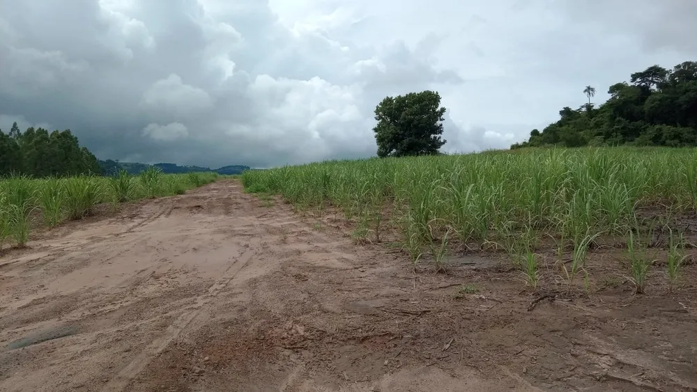 Fazenda, 85 m² - Foto 3