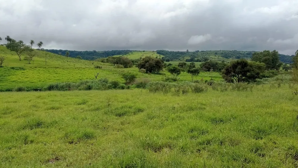 Fazenda, 85 m² - Foto 2