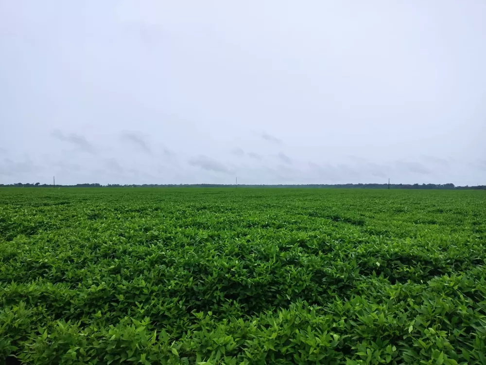 Fazenda, 409 m² - Foto 1