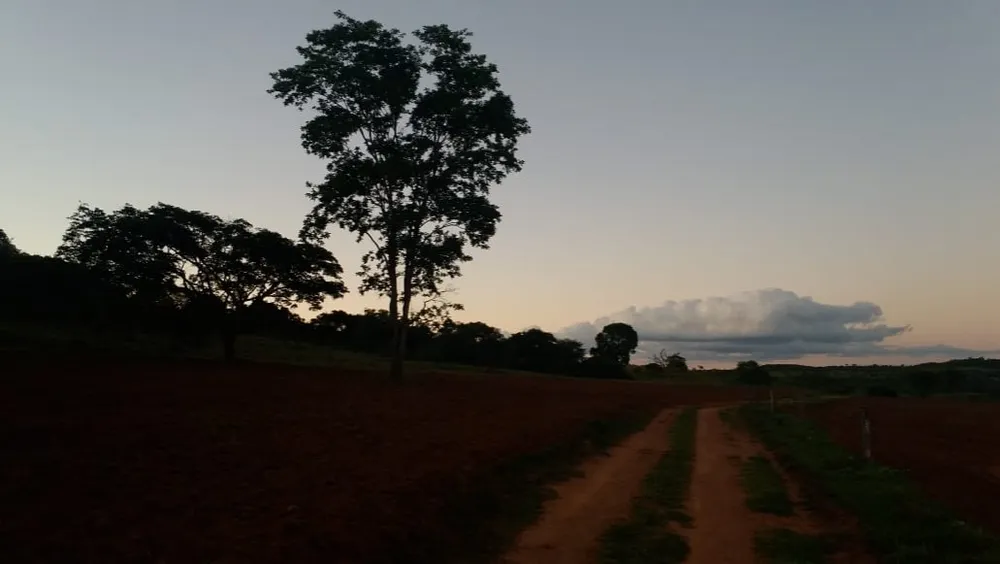 Fazenda, 99 m² - Foto 6