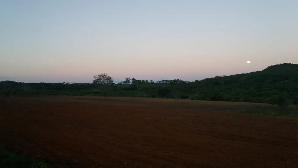 Fazenda, 99 m² - Foto 9