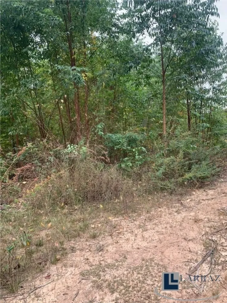 Sítio, 14 m² - Foto 10