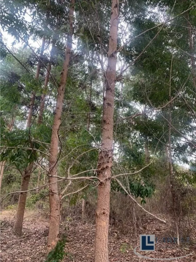 Sítio, 14 m² - Foto 2