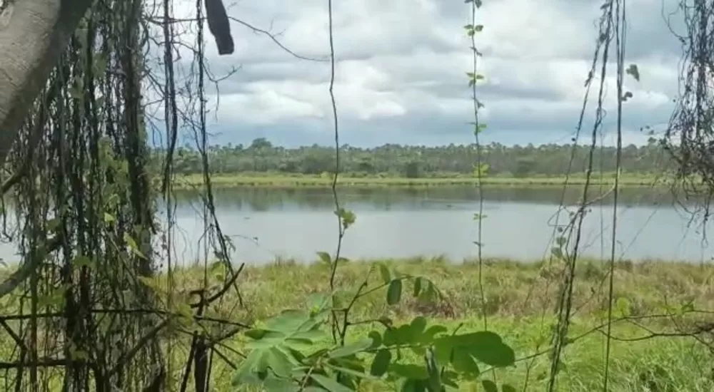 Fazenda, 681 m² - Foto 4