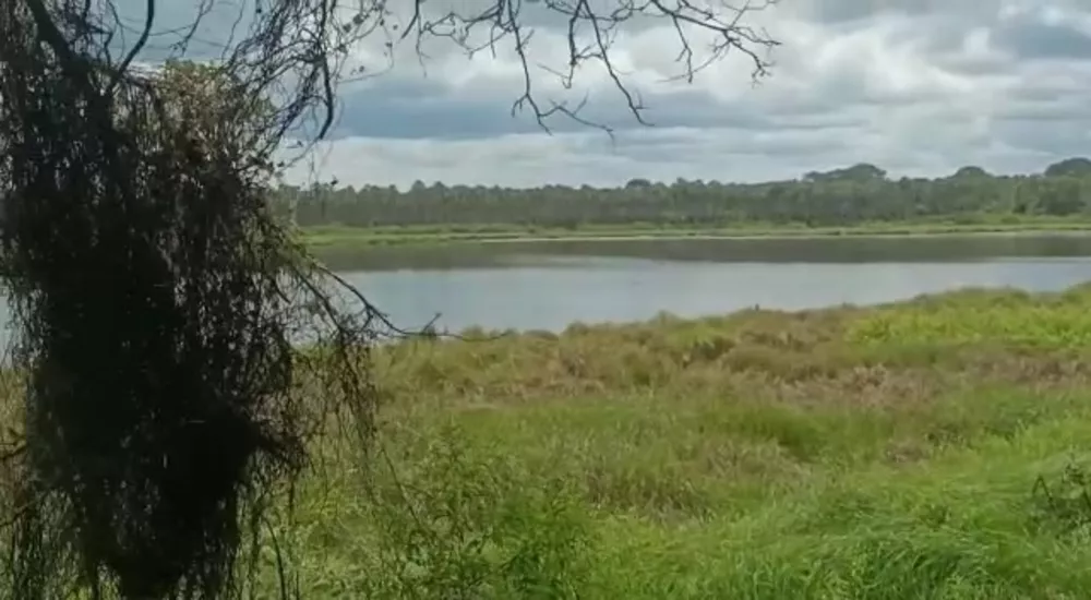 Fazenda, 681 m² - Foto 3