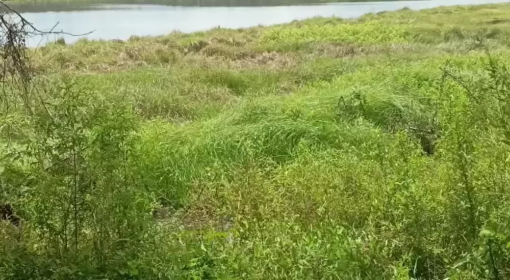 Fazenda, 681 m² - Foto 1