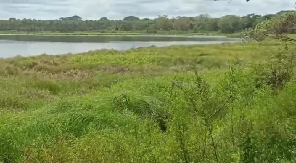 Fazenda, 681 m² - Foto 2