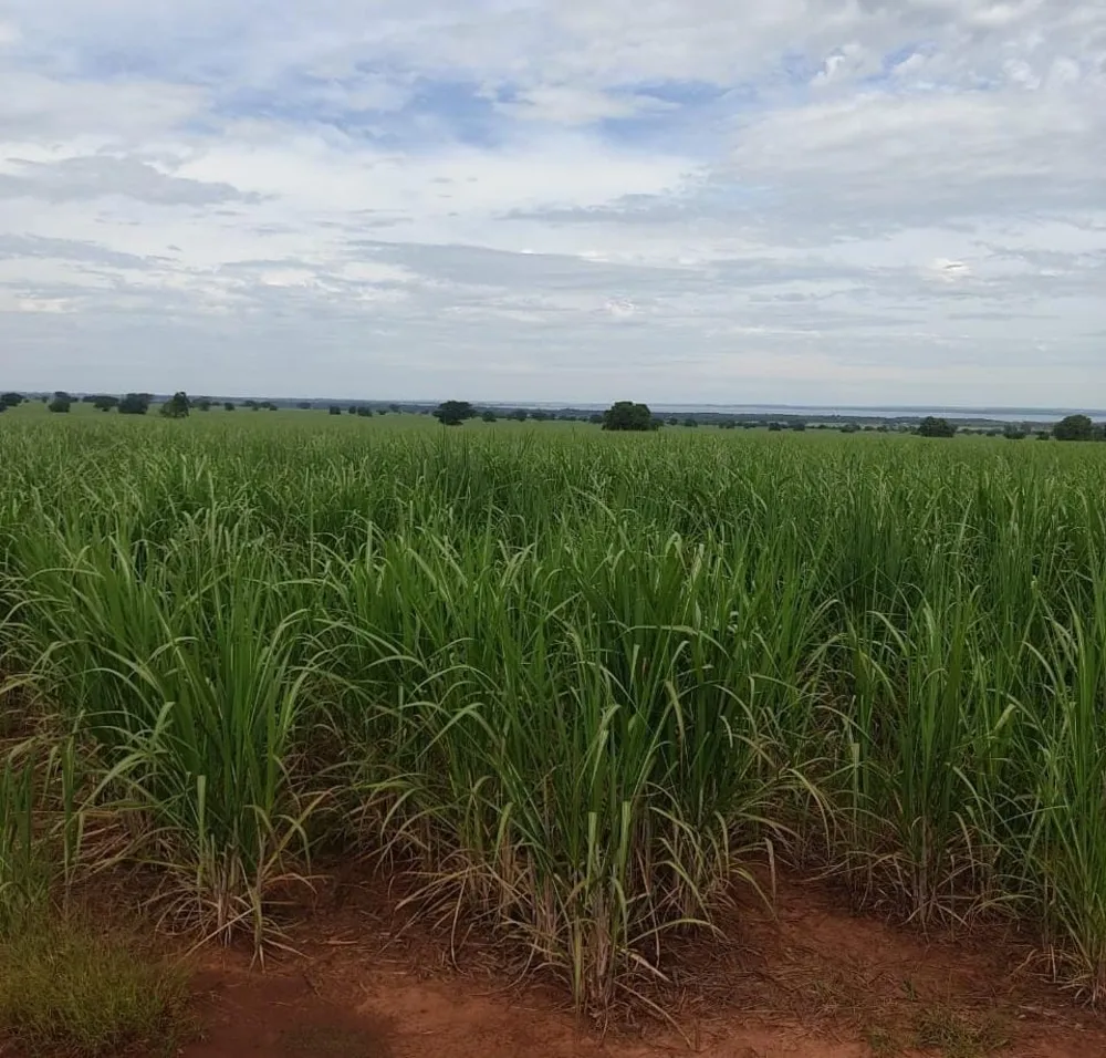 Fazenda, 125 m² - Foto 1