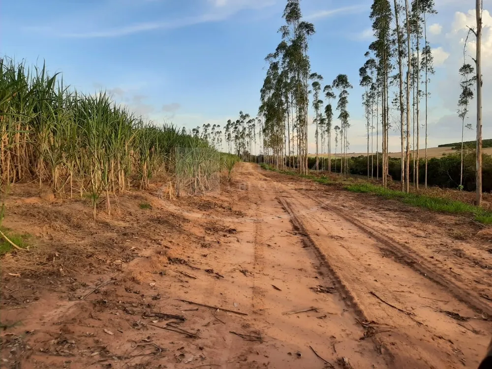 Fazenda, 49 m² - Foto 5