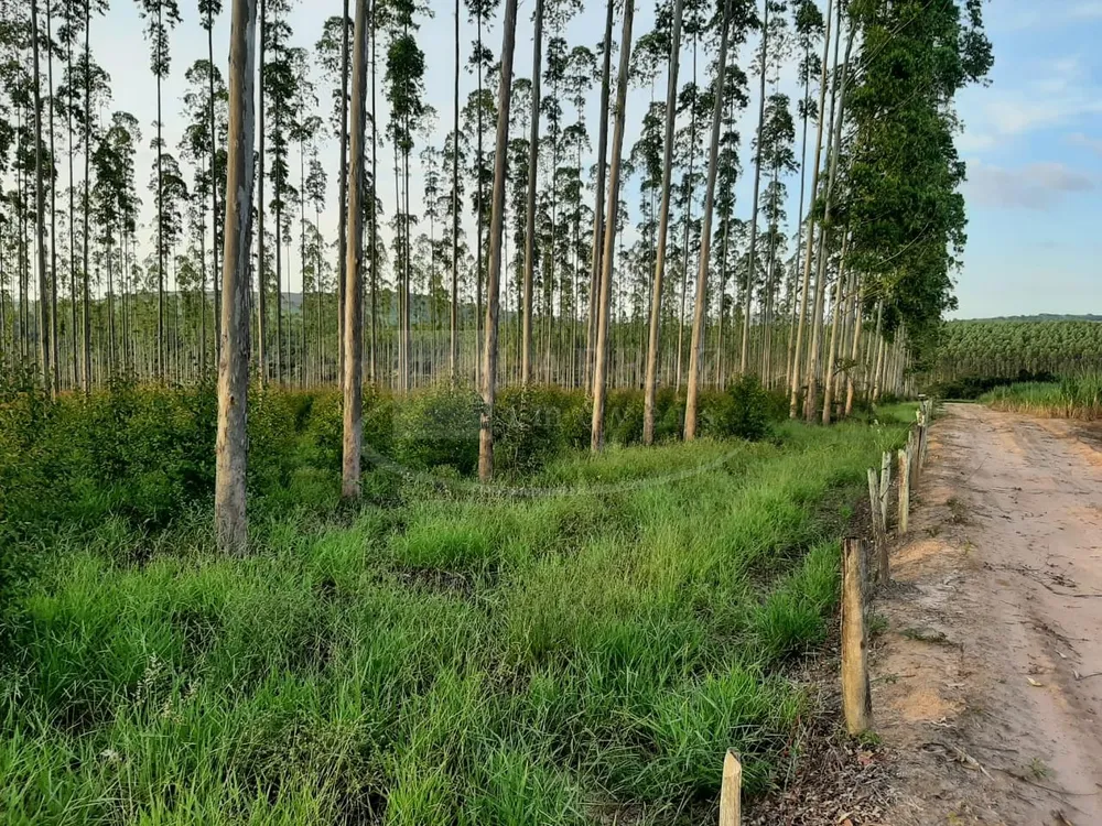 Fazenda, 49 m² - Foto 15