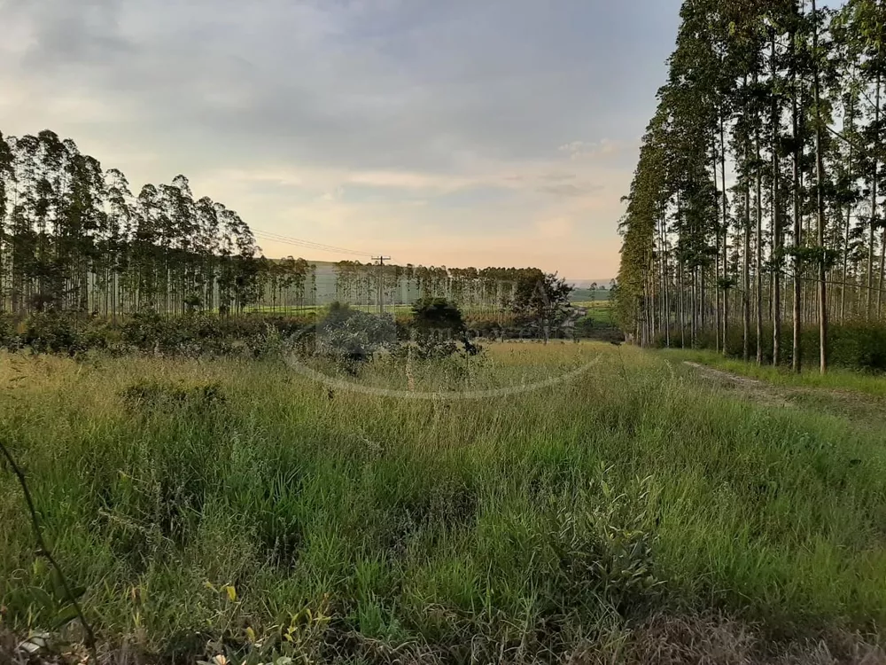 Fazenda, 49 m² - Foto 9