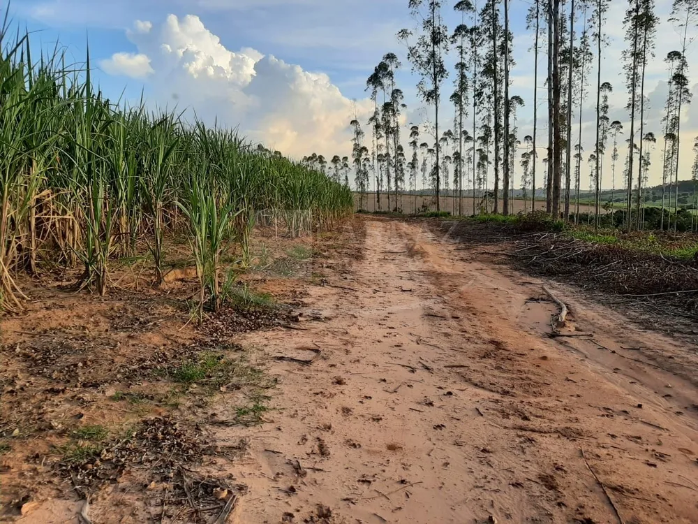 Fazenda, 49 m² - Foto 8