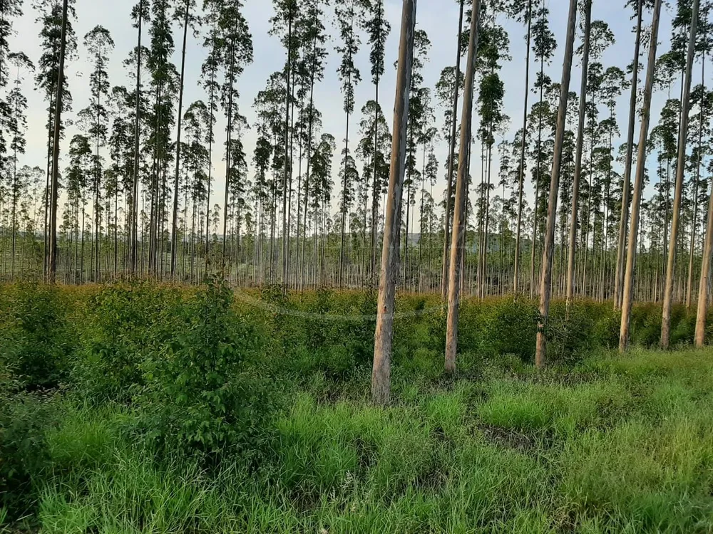 Fazenda, 49 m² - Foto 8