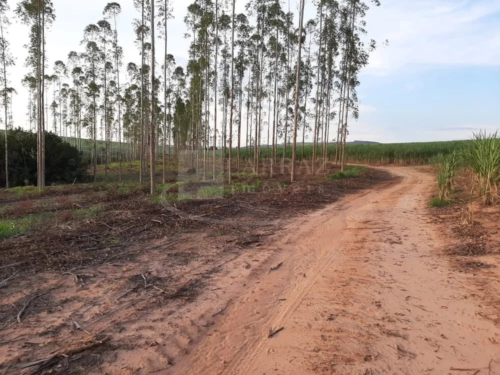 Fazenda, 49 m² - Foto 11