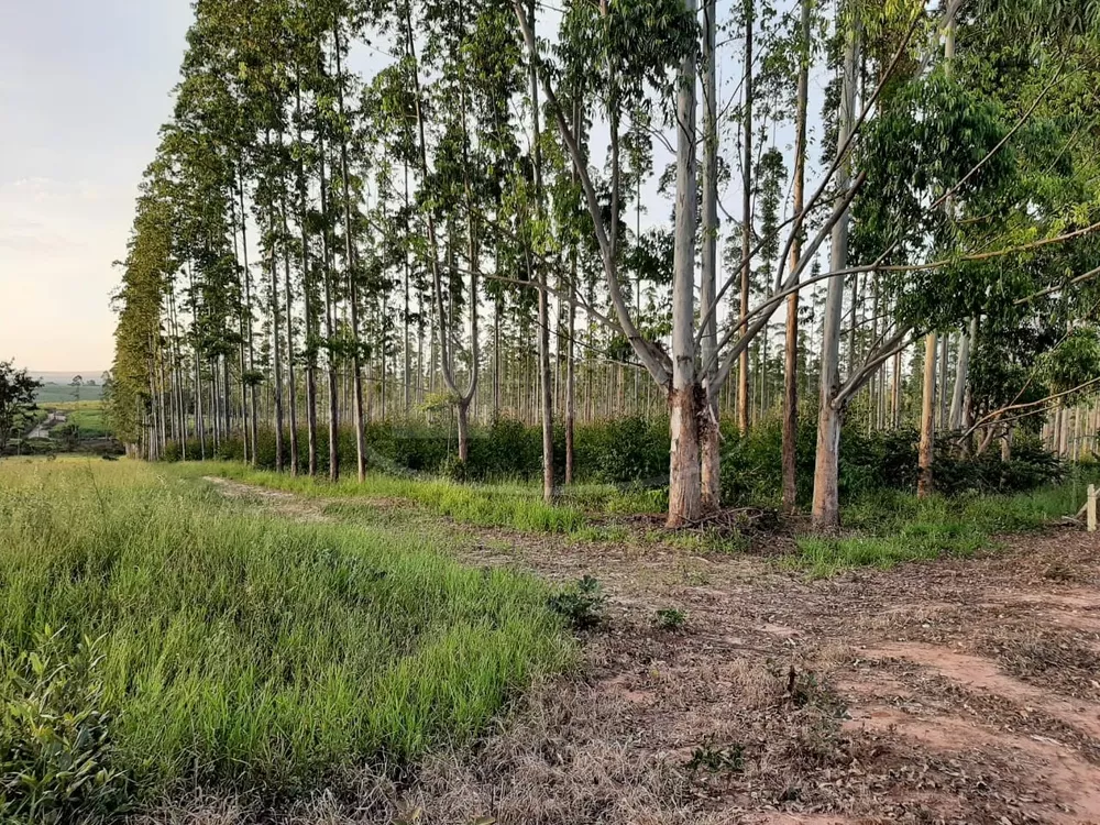 Fazenda, 49 m² - Foto 12