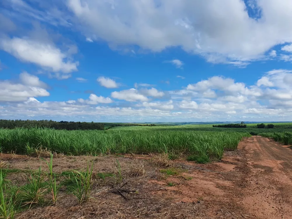 Fazenda, 240 m² - Foto 4