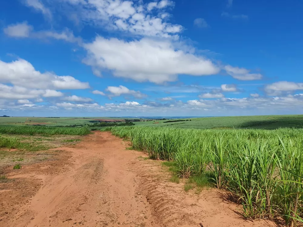 Fazenda, 240 m² - Foto 1