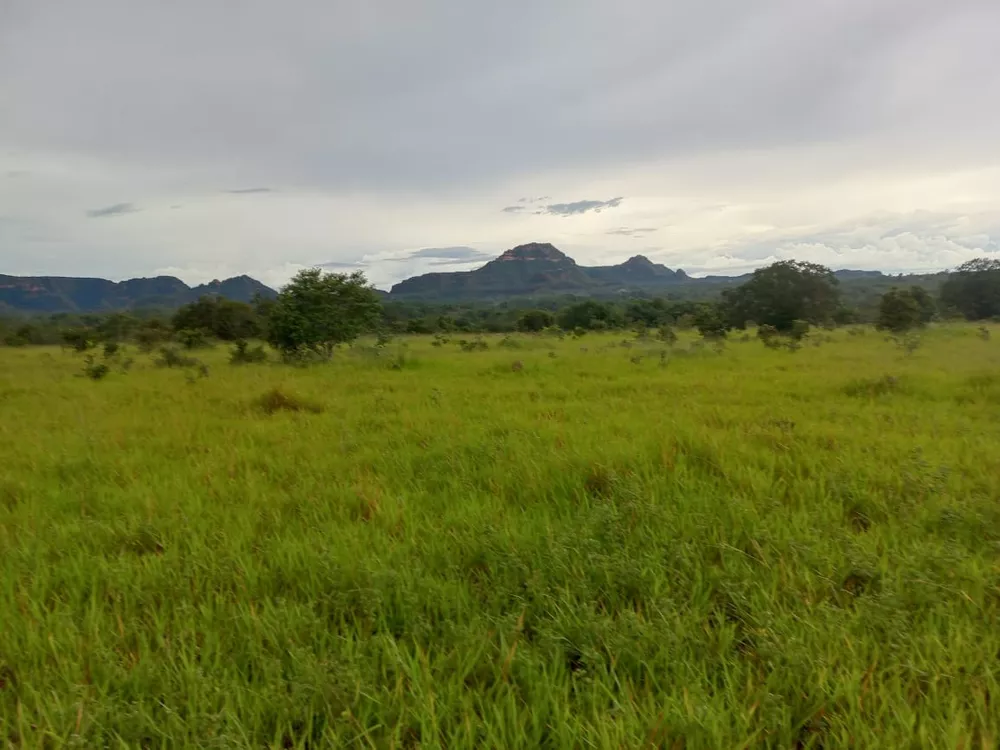 Fazenda, 1281 m² - Foto 2