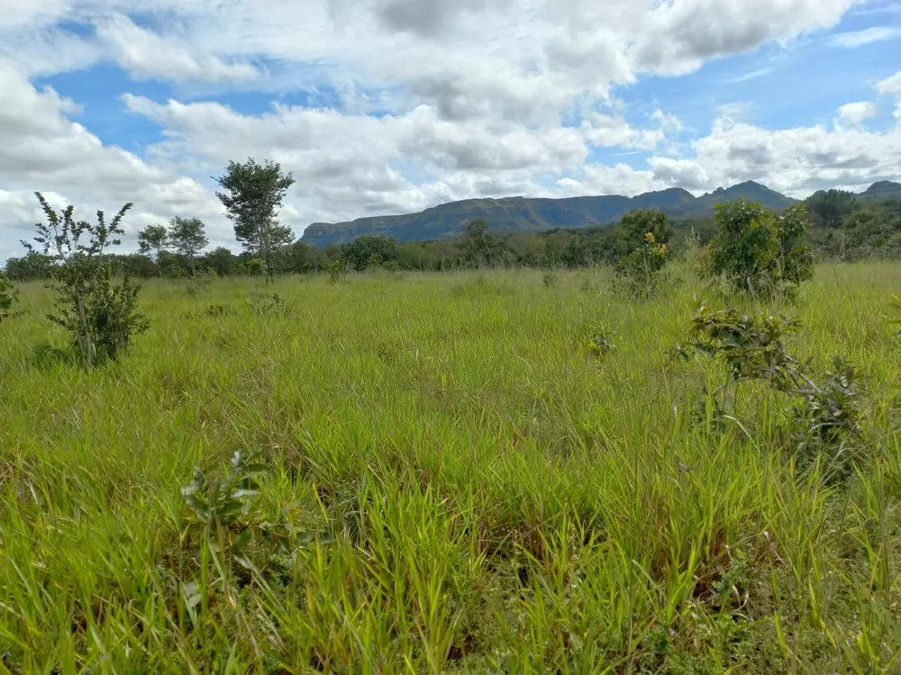 Fazenda, 1281 m² - Foto 1