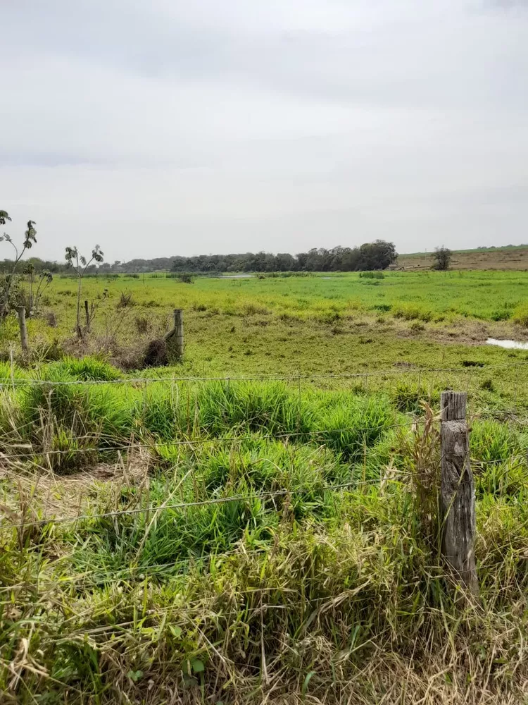 Fazenda, 102 m² - Foto 3