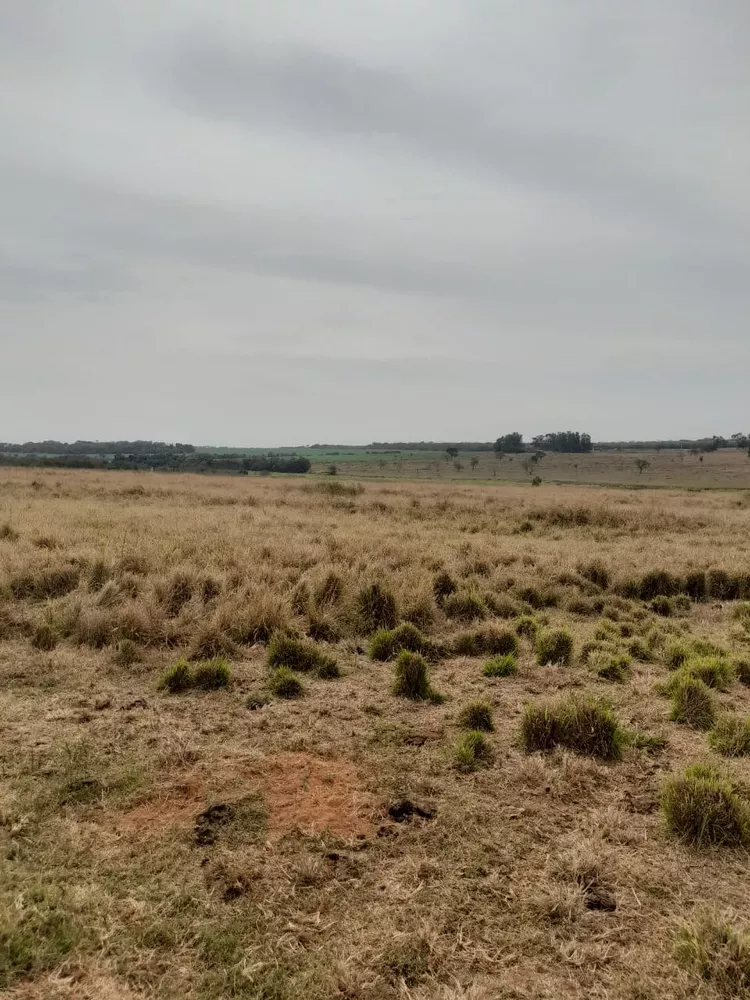 Fazenda, 102 m² - Foto 2